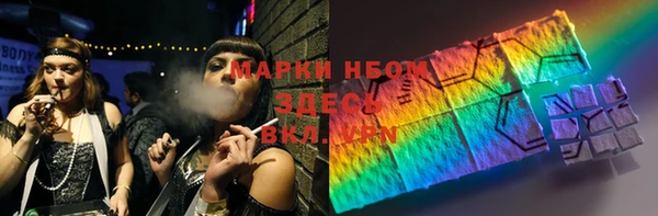 прущие грибы Алзамай