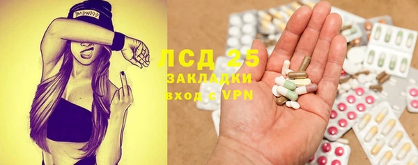 прущие грибы Алзамай