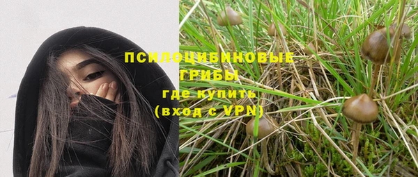 дживик Алексин