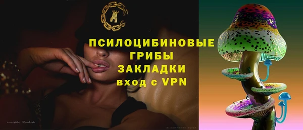 прущие грибы Алзамай