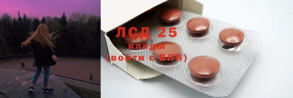 прущие грибы Алзамай