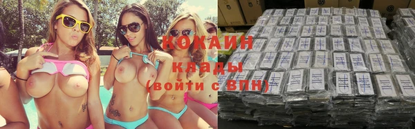 дживик Алексин